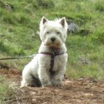 Hamish a Fix The Fells Supervisor